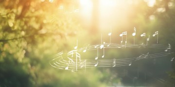 我只想平安健康出自哪首歌？