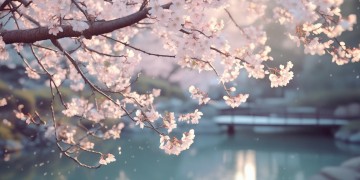 有哪些小清新风格的歌曲呢？