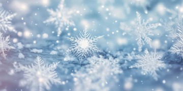 世上飘的雪出自哪首歌？