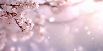 我不后悔不后退究竟是哪首歌？