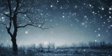 无情的孤独感究竟是哪首歌？