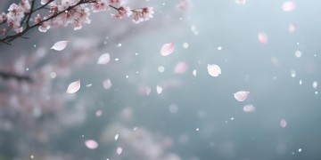原来执着也很美究竟是哪首歌？