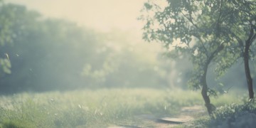 我仿佛看到你招手出自哪首歌？