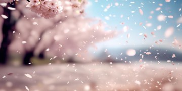 她说如果那样一定很美究竟是哪首歌？