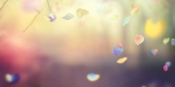 爱你有苦也有乐究竟是哪首歌？