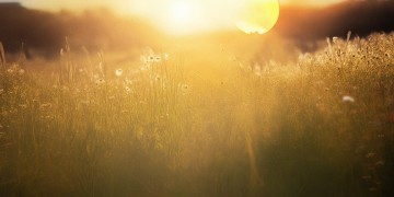 太阳最温柔的时刻究竟是哪首歌？