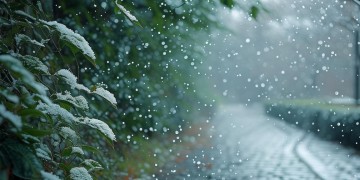 下过雨后的小雪到底是哪首歌？