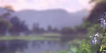 张杰哪首歌包含最重要的话？