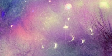 阿尔法多究竟是什么歌？