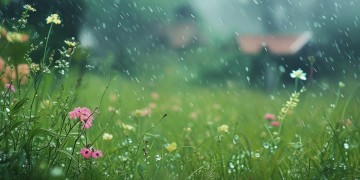 落在青春里的雨究竟是哪首歌？