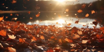 爱与恨都随风去究竟是哪首歌？