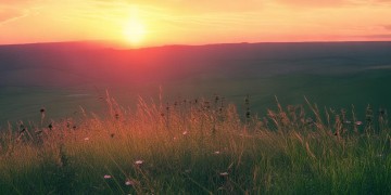 夕阳西下适合搭配什么英文歌？
