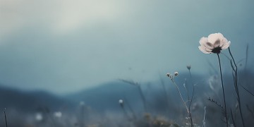 些许失落些许忧伤到底是哪首歌？
