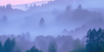 多少风雨多少路究竟是哪首歌？