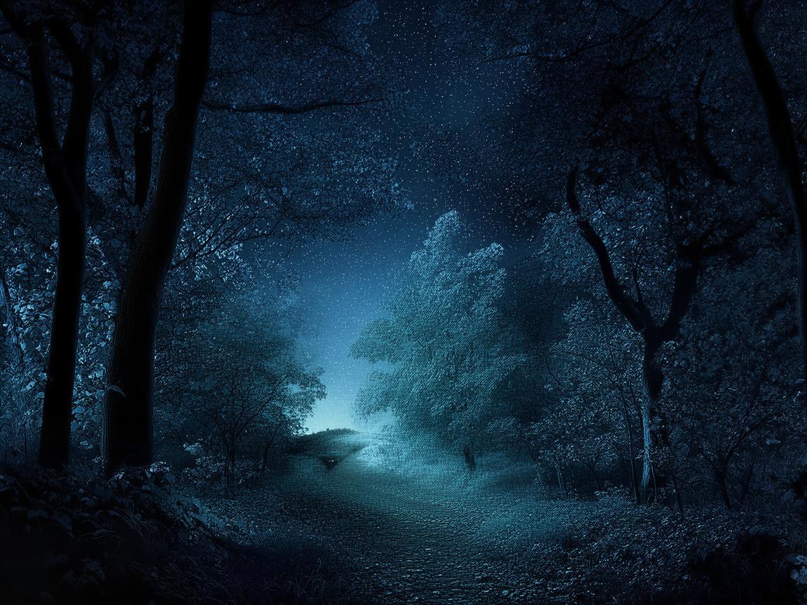 夜晚看不到黎明究竟是哪首歌？