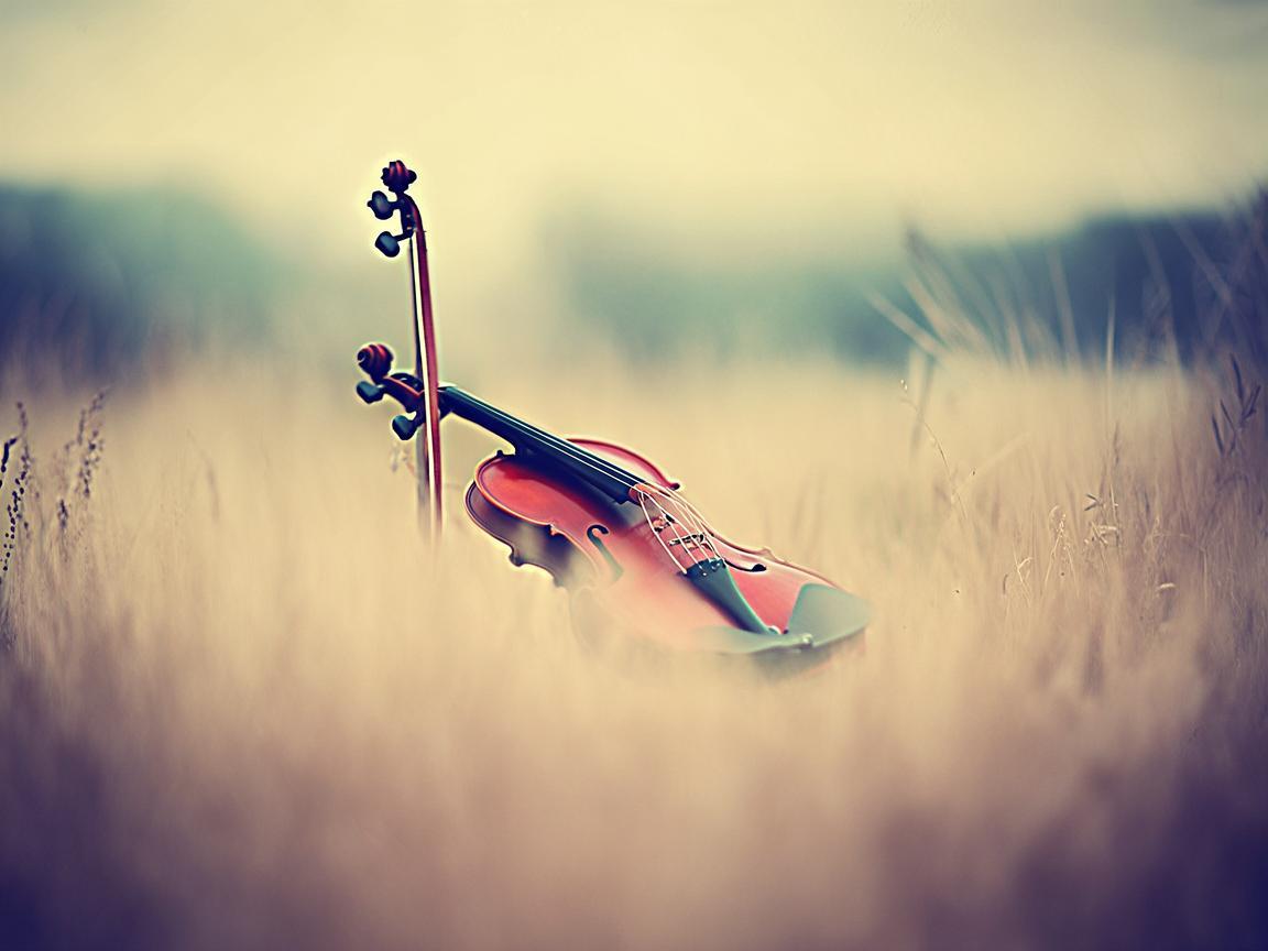 究竟哪首歌会让我如此伤心？