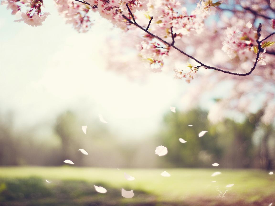 你的什么不是什么歌？